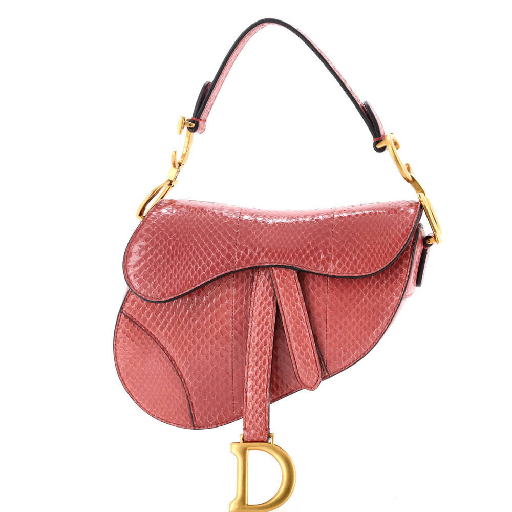 Christian Dior Mini Saddle Handbag Python